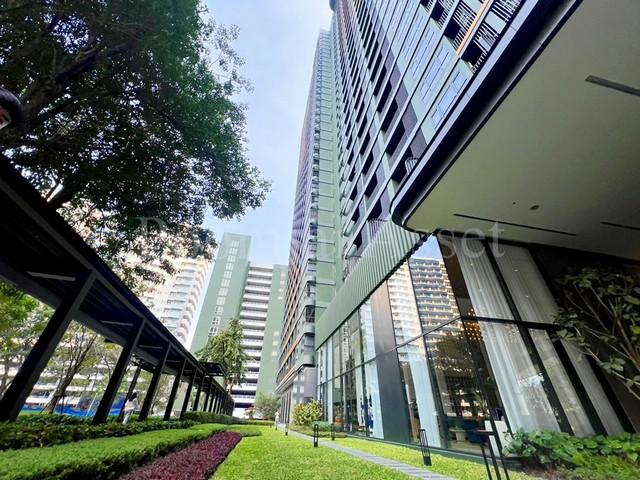 �͹�29 33 ���ҧ����