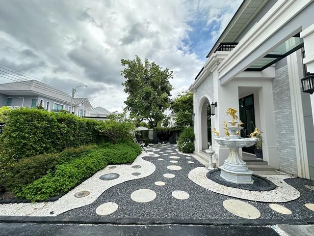 ��ҹ�����