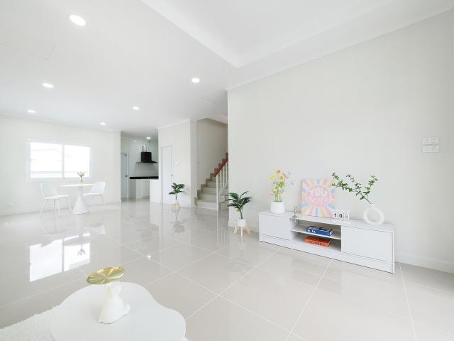 ��º�ҹ����� �ҧ��Ƿͧ�������