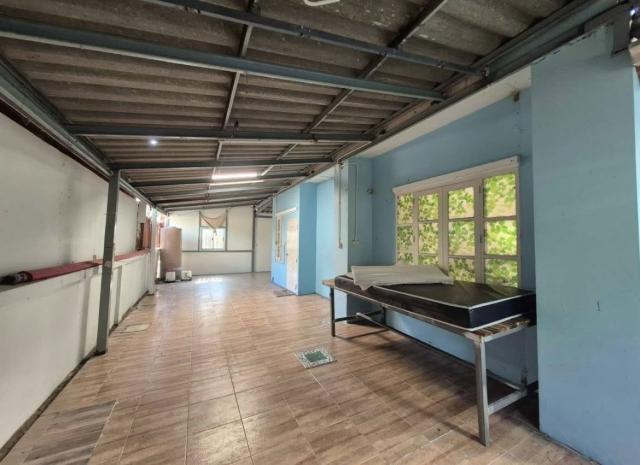 ��ҹ����������� �ҧ��Ƿͧ�������