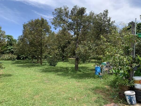 ���Թ ����Ѵ