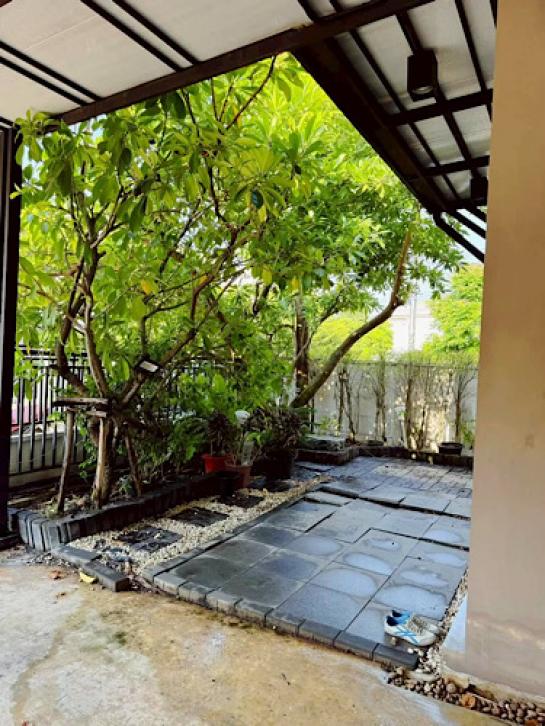 ��ҹ������ �ҡ��紹������