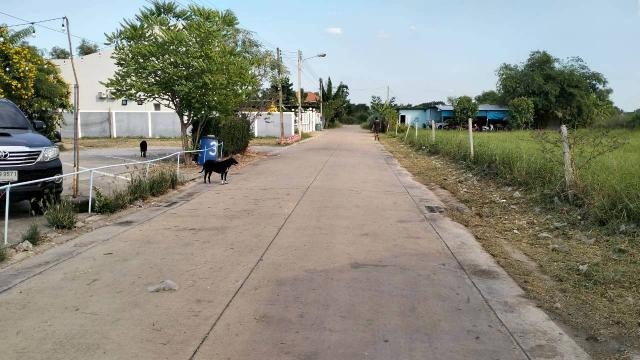 ��·��Թ ���١�һ����ҹ�