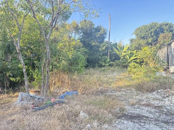 ��·��Թ ���ͧ������չ������