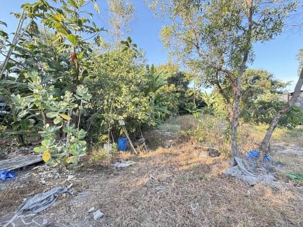 ��·��Թ ���ͧ������չ������