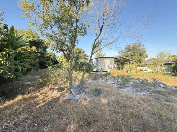 ��·��Թ ���ͧ������չ������