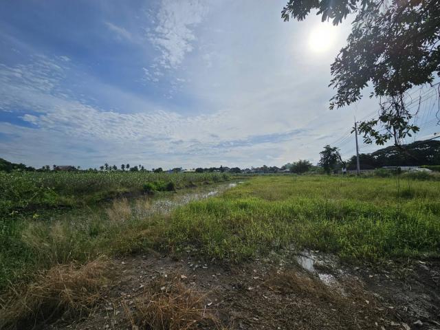 ��·��Թ ��з���ẹ��ط��Ҥ�