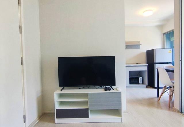 ��¤͹� �ҧ�л�