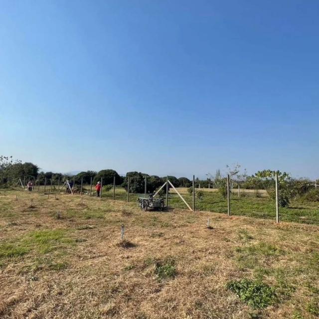 ��·��Թ ���ᵧ��§����