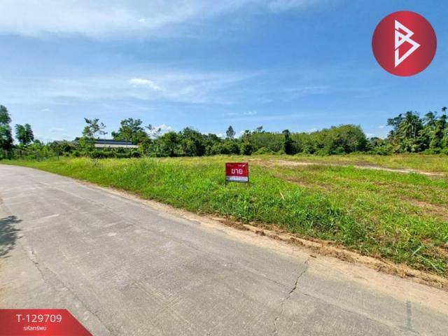 ��·��Թ ��о��������ո����Ҫ