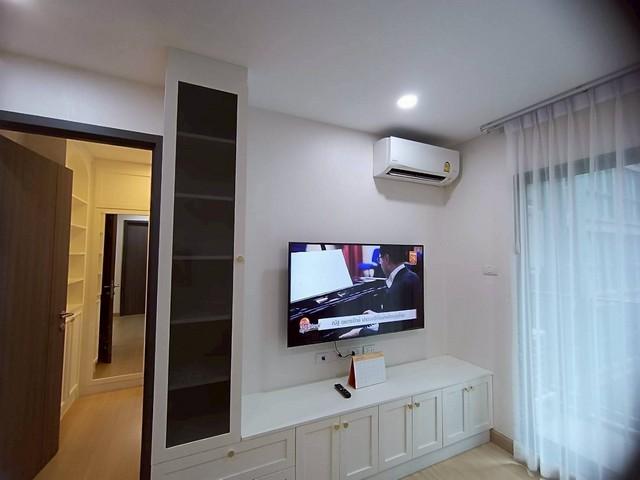 �͹� ������