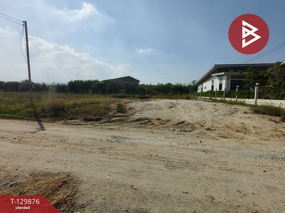 ���Թ ����ŵ��