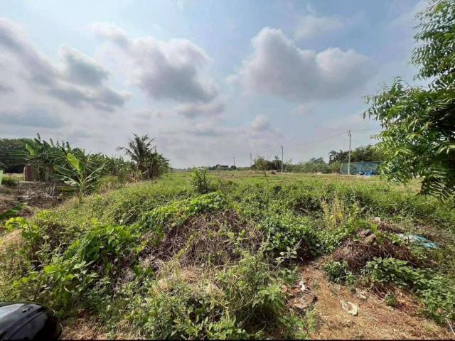 ���Թ ����ŵ��