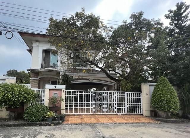 ��º�ҹ �ҧ���¹������