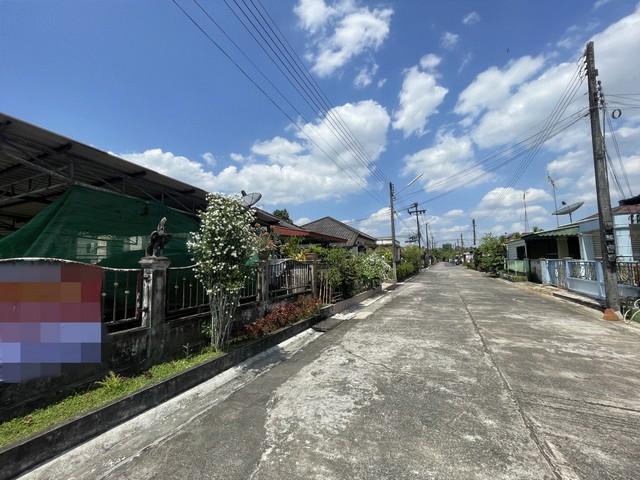 ��º�ҹ �ѹ�ѧ��ѧ