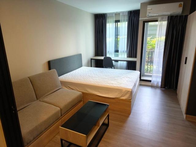 �͹� ����ҧ����