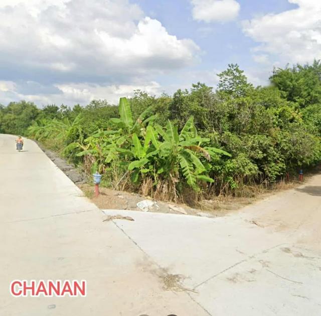 ���Թ ����ç���