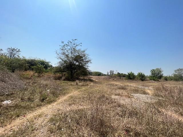 ���Թ ����ç���