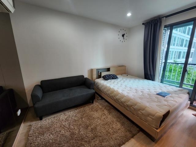 �͹� 23 ���ҧ����