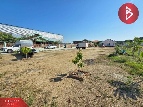 ��� ���Թ ���ͧ��طû�ҡ�� ��طû�ҡ��