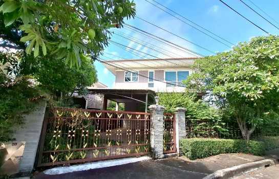 ��ҹ�����