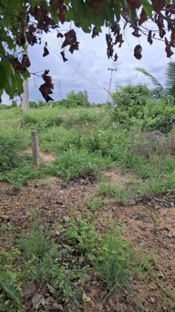 ที่ดิน ถมแล้ว 1,000,000 บาท ที่ดิน ถมแล้ว 1,000,000 บาท