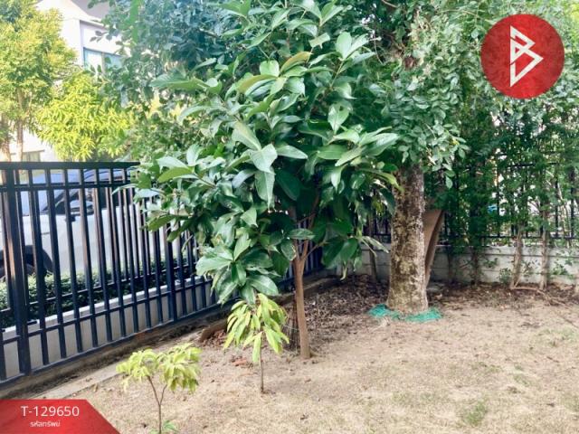 ��º�ҹ �ҧ���¹������