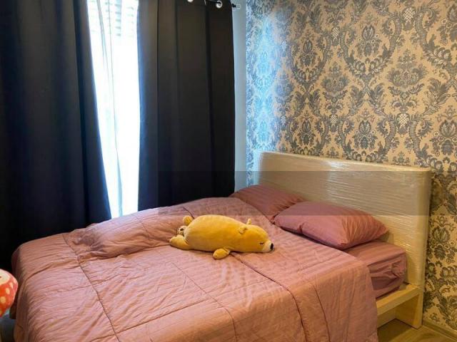 �͹� �������ͧ