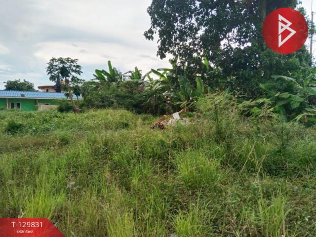 ���Թ 463 ���ҧ��