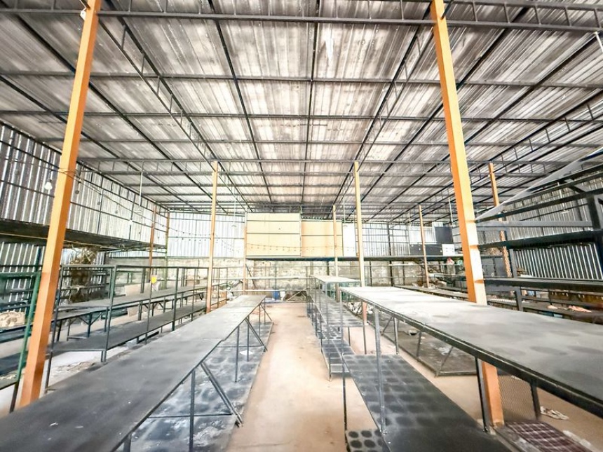 ���⡴ѧ ����ҪҪź���