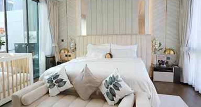 ��ҹ������ �ҧ���¹������