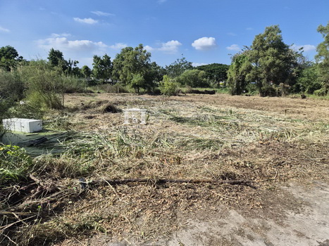 ���Թ ������� ���ҧ��ǹ