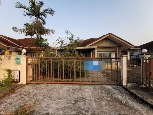 ��ҹ �ѹ����� ������¹����ǹ���