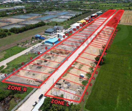 ���Թ ������� ⫹������