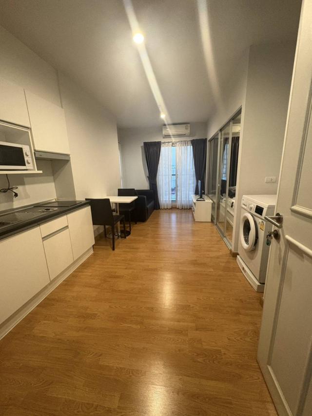 �͹� �ͧ����