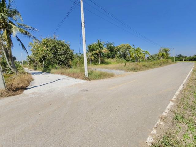 ที่ดิน ใกล้ตลาดนัด ที่ดิน ใกล้ตลาดนัด