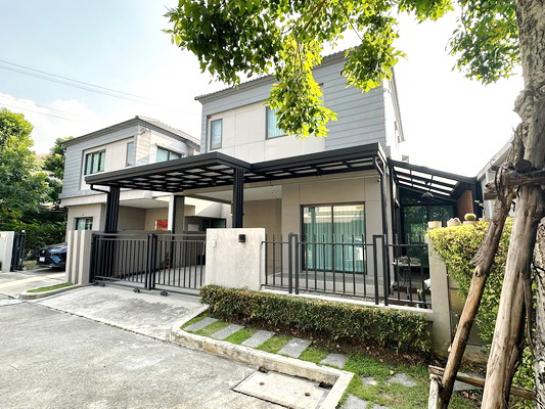 ��ҹ ���Ź������