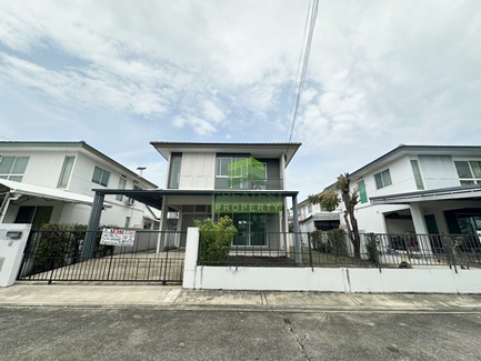 ��ҹ ���Ź������