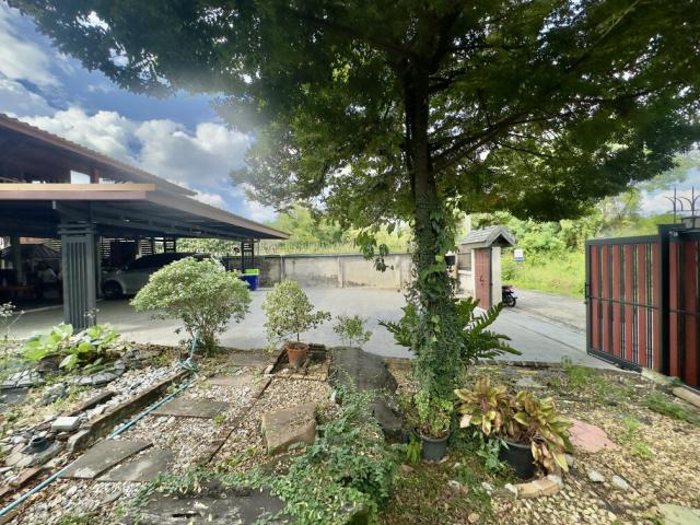 ��º�ҹ �ѹ����ǡ�ا෾