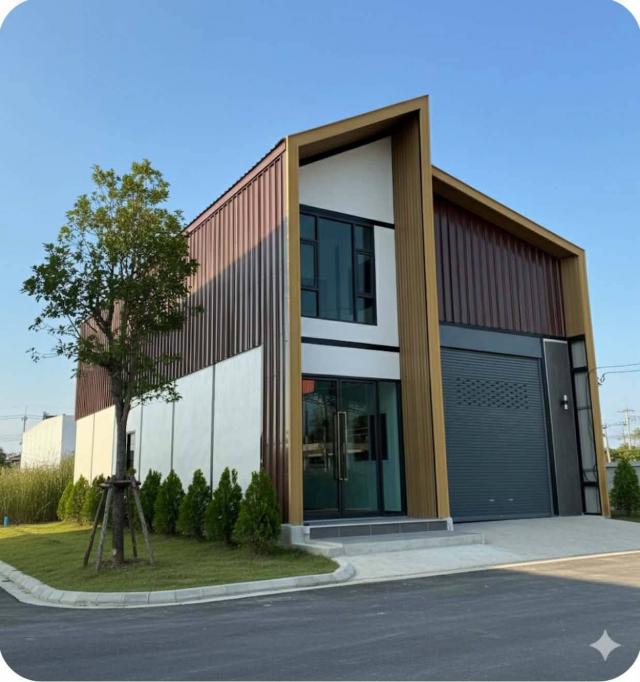 ����ç�ҹ �ҧ��Ƿͧ�������