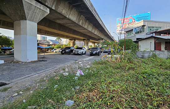 ���Թ ������� �ҧ��ǹ����Ѫ