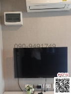 �͹������������� 9,500 �ҷ/��͹