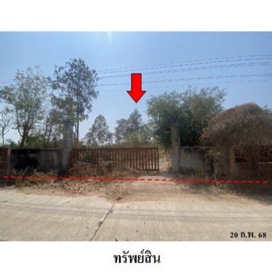 ��ҹ ���� ���/10/4