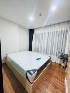 �͹������� �ҧ��