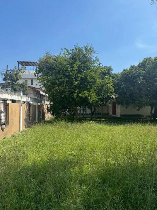 ���Թ  ����