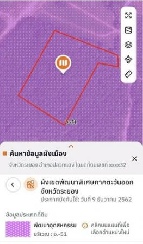 ���Թ���ͧ ���ͧ
