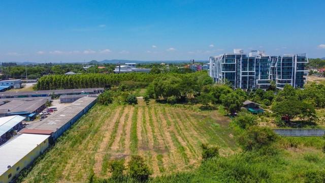 ���Թ���ҧ��ǹ �ź���