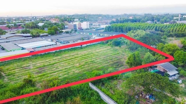 ���Թ�ѵ�պ �ź���