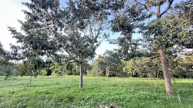 ���Թ��ҹ˹�ҵԴ��� ��ШǺ���բѹ��