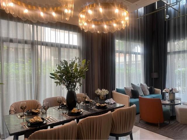 ��ҹ���觾�������� ���⢹�